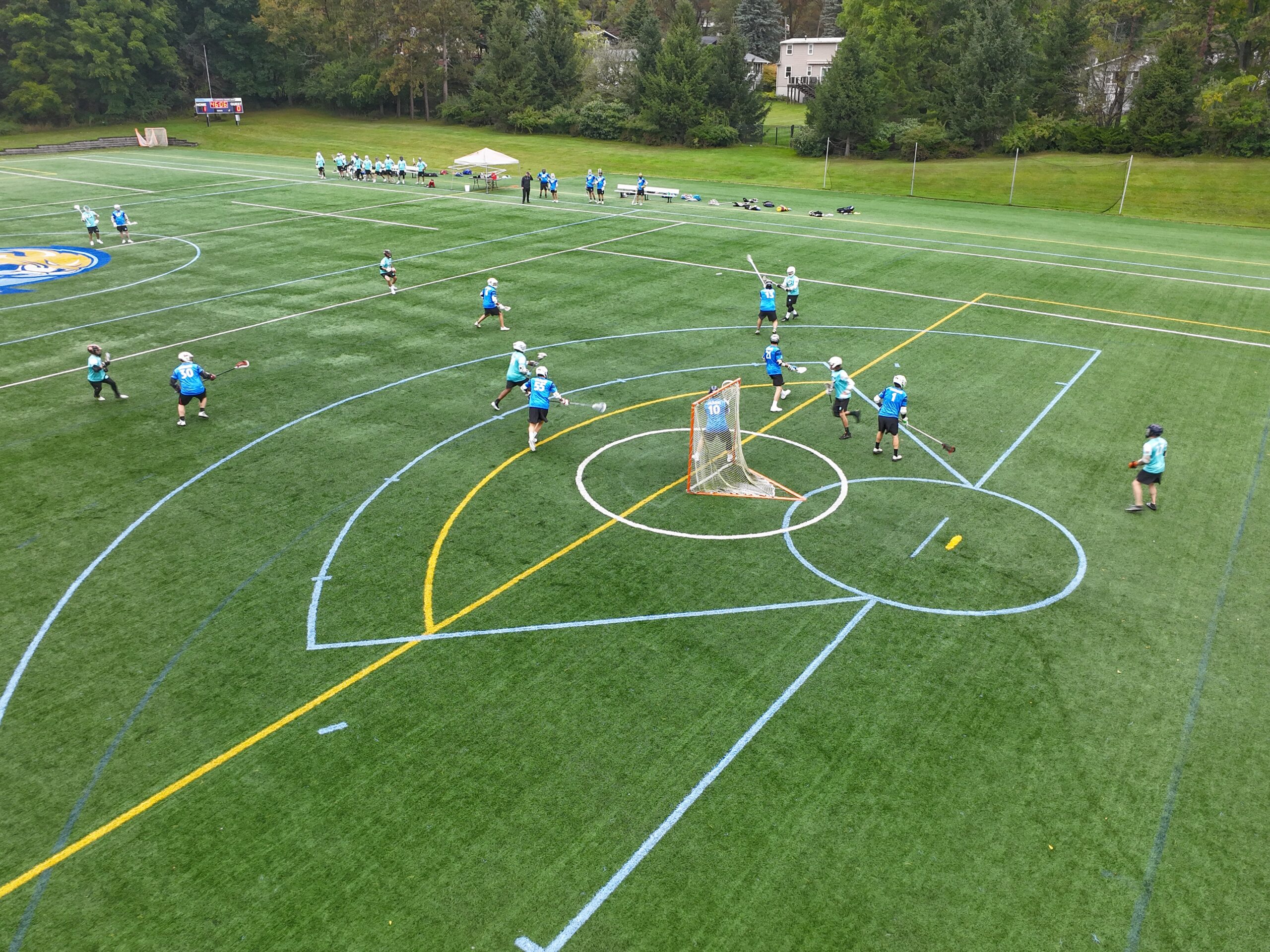 Stray Cat Sunday – Powell Lacrosse